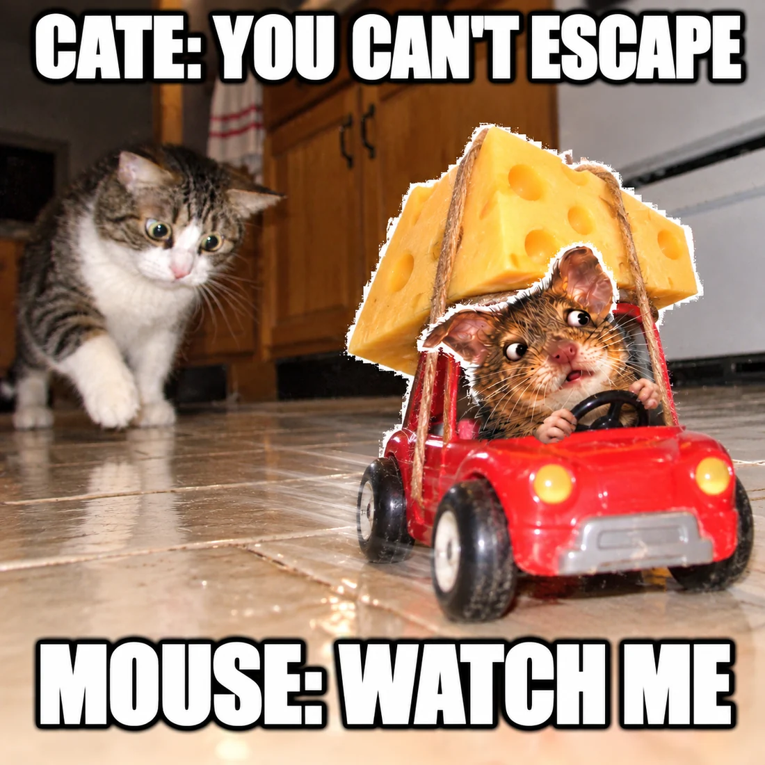 Mouse driving a tiny red car with cheese on the roof